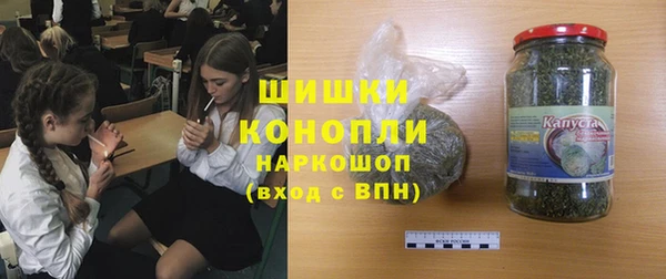 молекула духа Алексин