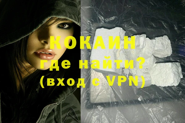 стаф Алзамай