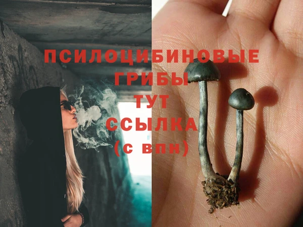 метадон Алексеевка