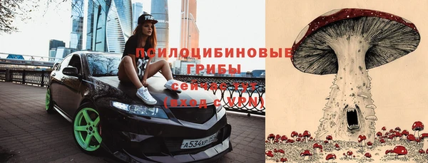 молекула духа Алексин