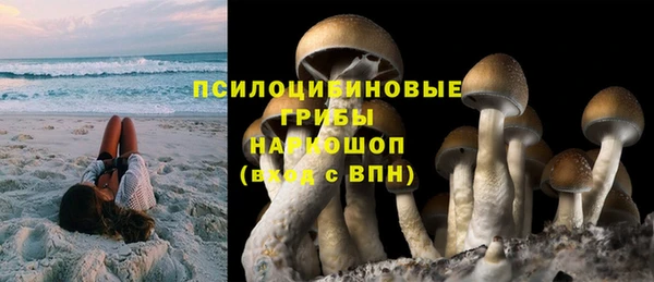 стаф Алзамай